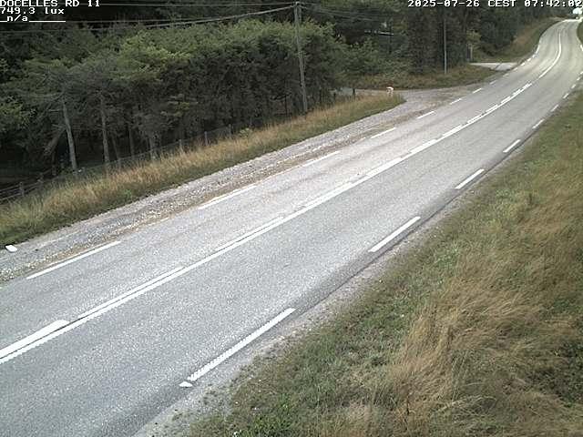 Webcam à 424 mètres d'altitude dans la Tranchée de Docelles dans les Vosges, à proximité d'Epinal sur la route de Gerardmer (D11)