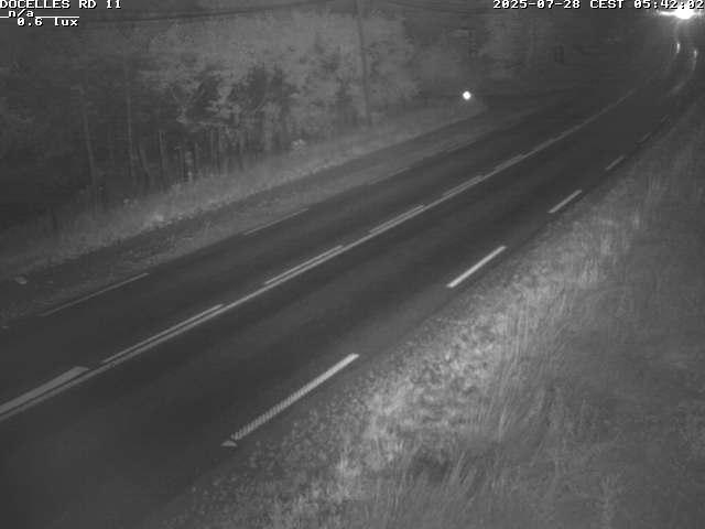 Webcam à 424 mètres d'altitude dans la Tranchée de Docelles dans les Vosges, à proximité d'Epinal sur la route de Gerardmer (D11)