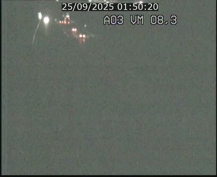 Traffic live webcam Luxembourg Bettembourg - A3 - BK 8.3 - direction France