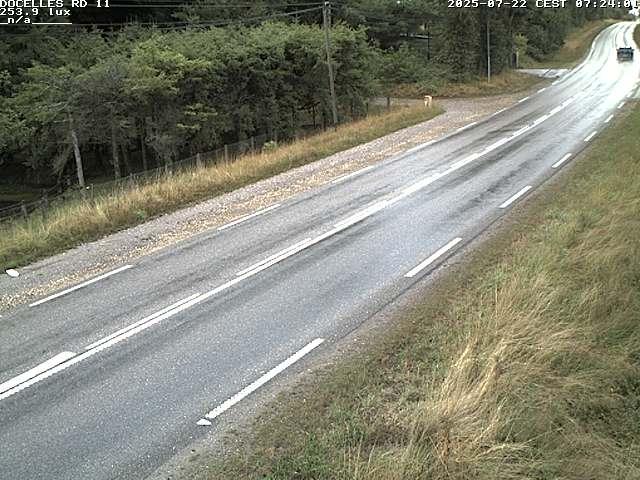 Webcam à 424 mètres d'altitude dans la Tranchée de Docelles dans les Vosges, à proximité d'Epinal sur la route de Gerardmer (D11)