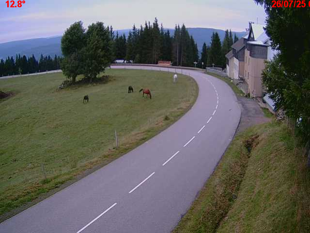 Webcam en haut du col du Ballon d'Alsace sur la D465 à 1075 mètres d'altitude dans les Vosges