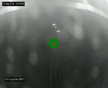 Webcam routière à la fin de la N10, en périphérique ouest d'Angouleme, proche de la jonction avec l'A10