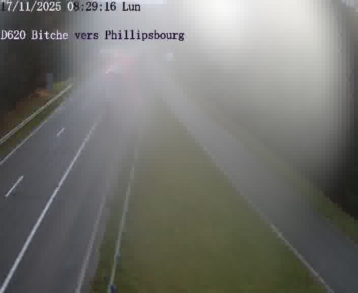 Webcam sur la D620, sur le contournement de Bitche. Vue orientée vers Philippsbourg