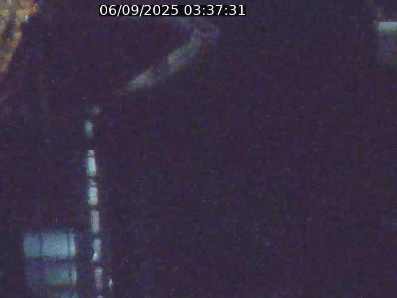 Webcam sur l'avenue John Fitzgerald Kennedy (N51) avec vue orientée vers le Findel