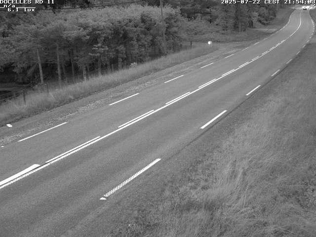 Webcam à 424 mètres d'altitude dans la Tranchée de Docelles dans les Vosges, à proximité d'Epinal sur la route de Gerardmer (D11)