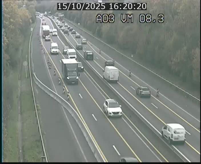 Traffic live webcam Luxembourg Bettembourg - A3 - BK 8.3 - direction France