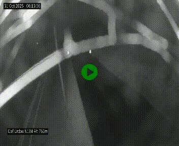 Webcam dans les Pyrénées Atlantique au niveau du col d'Urdos et du fort du Pourtalet sur la N134, en direction du Col et du tunnel du Somport, à 765 mètres d'altitude