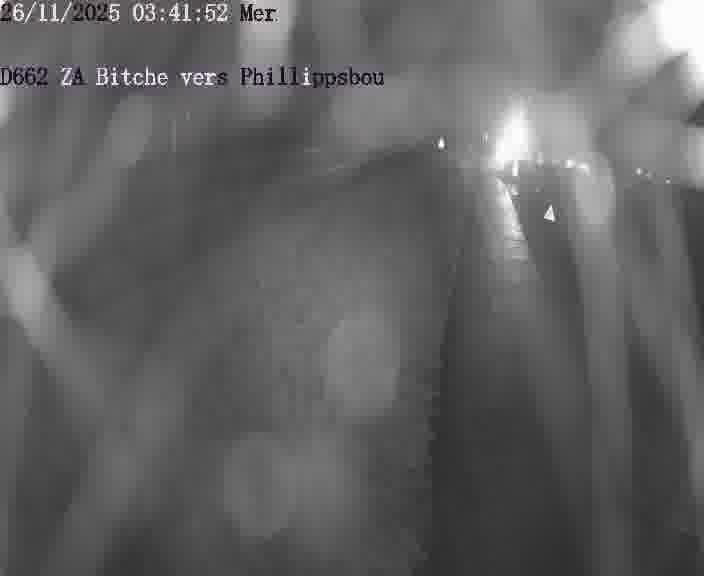 Caméra de trafic sur D662 (France) à Bitche, orientée vers Phillippsbourg, permettant d’évaluer fluidité, incidents et densité automobile.