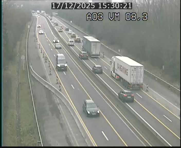 Traffic live webcam Luxembourg Bettembourg - A3 - BK 8.3 - direction France