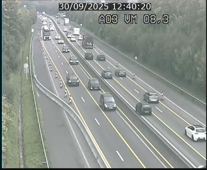 Traffic live webcam Luxembourg Bettembourg - A3 - BK 8.3 - direction France