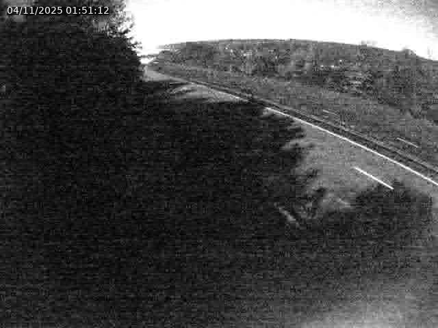 Webcam route sur la N59 à Flavigny-sur-Moselle à proximité de Nancy vers Epinal