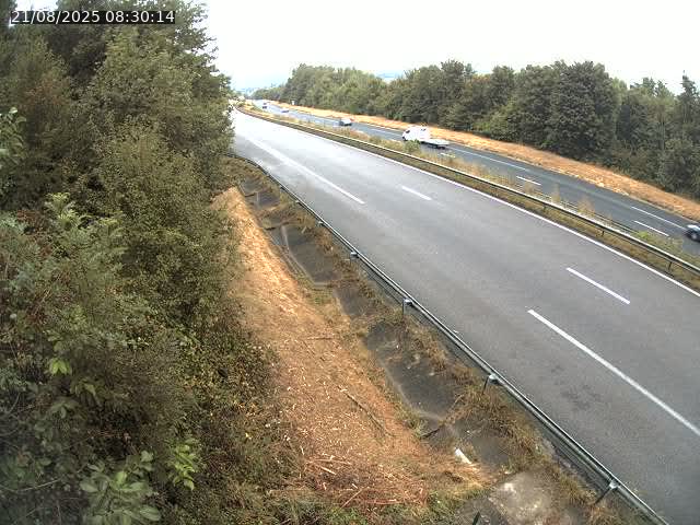 Webcam route sur la N59 à Flavigny-sur-Moselle à proximité de Nancy vers Epinal