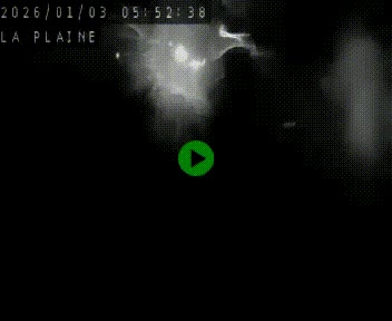 Caméra routière France - N109, Juvignac - La plaine, en direction de Clermont l'Hérault, à la sortie de Montpellier