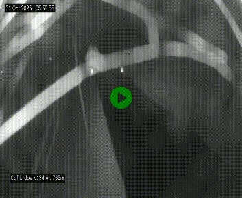 Webcam dans les Pyrénées Atlantique au niveau du col d'Urdos et du fort du Pourtalet sur la N134, en direction du Col et du tunnel du Somport, à 765 mètres d'altitude