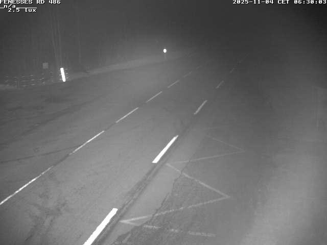 Webcam en haut du col des Fenesses, aussi appelé col du Ménil sur la D486 à 593 mètres d'altitude dans les Vosges