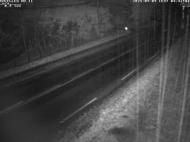 Webcam à 424 mètres d'altitude dans la Tranchée de Docelles dans les Vosges, à proximité d'Epinal sur la route de Gerardmer (D11)