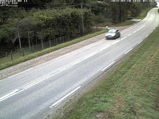 Webcam à 424 mètres d'altitude dans la Tranchée de Docelles dans les Vosges, à proximité d'Epinal sur la route de Gerardmer (D11)