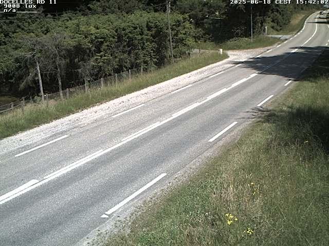 Webcam à 424 mètres d'altitude dans la Tranchée de Docelles dans les Vosges, à proximité d'Epinal sur la route de Gerardmer (D11)