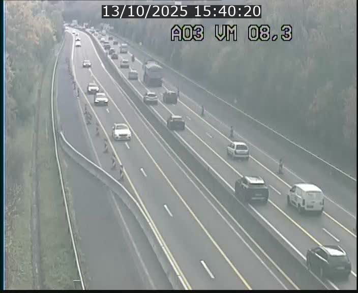 Traffic live webcam Luxembourg Bettembourg - A3 - BK 8.3 - direction France