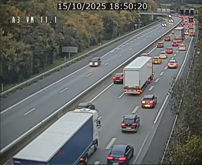 Webcam à la frontière franco-luxembourgeoise, avant la Croix de Bettembourg - BK 11.1 - direction Luxembourg-ville
