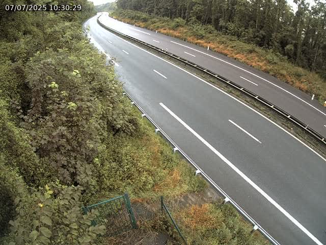 Caméra autoroute France - N52, Crusnes vers Belgique, Luxembourg