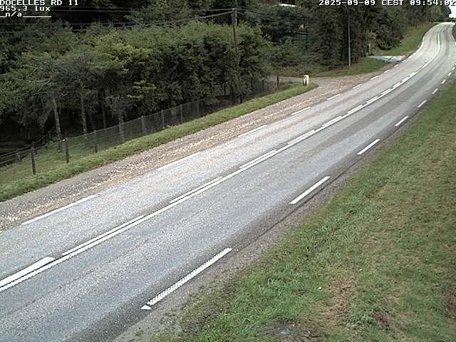 Webcam à 424 mètres d'altitude dans la Tranchée de Docelles dans les Vosges, à proximité d'Epinal sur la route de Gerardmer (D11)