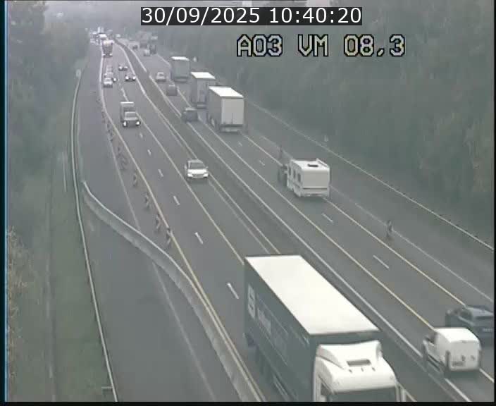 Traffic live webcam Luxembourg Bettembourg - A3 - BK 8.3 - direction France