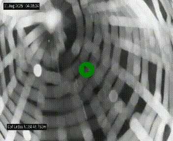 Webcam dans les Pyrénées Atlantique au niveau du col d'Urdos et du fort du Pourtalet sur la N134, en direction du Col et du tunnel du Somport, à 765 mètres d'altitude