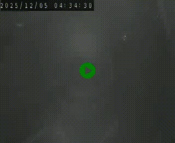 Webcam routière au niveau du col de la Chavade en Ardèche, sur la N102 à 1266 mètres d'altitude