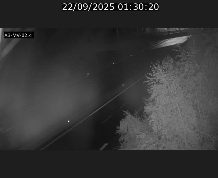 Webcam autoroute de la France (A3) au Luxembourg à Fentange, à proximité de la Croix de Gasperich. Vue orientée vers la Cloche d'Or