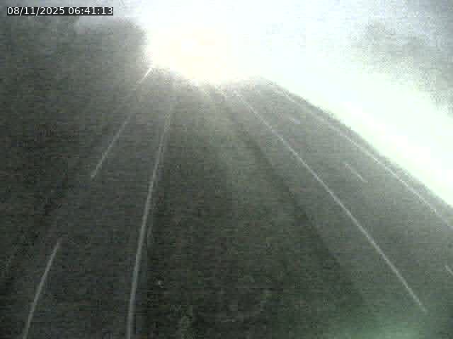 Caméra autoroute France - A31, Velaine-en-Haye direction Nancy