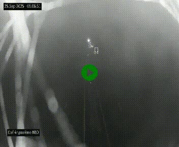 Webcam routière à la fin de la N10, en périphérique ouest d'Angouleme, proche de la jonction avec l'A10