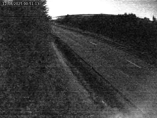 Webcam route sur la N59 à Flavigny-sur-Moselle à proximité de Nancy vers Epinal