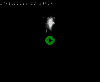 Caméra autoroute A75 à hauteur de Le Crest, en direction de Montpellier