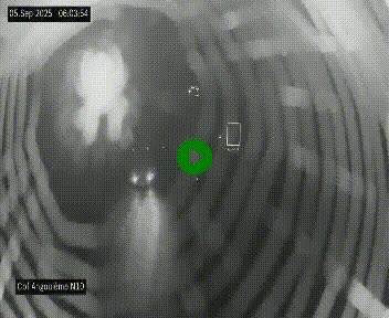 Webcam routière à la fin de la N10, en périphérique ouest d'Angouleme, proche de la jonction avec l'A10