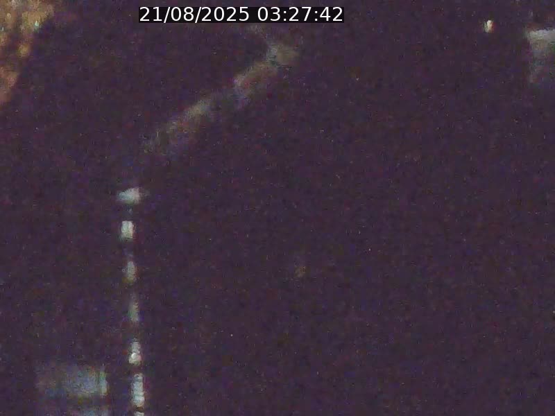 Webcam sur l'avenue John Fitzgerald Kennedy (N51) avec vue orientée vers le Findel
