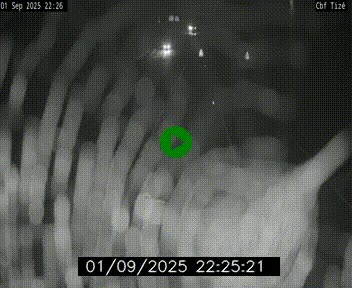 Webcam sur le périphérique de Rennes (N136) à hauteur de Tizé, à l'est de la ville