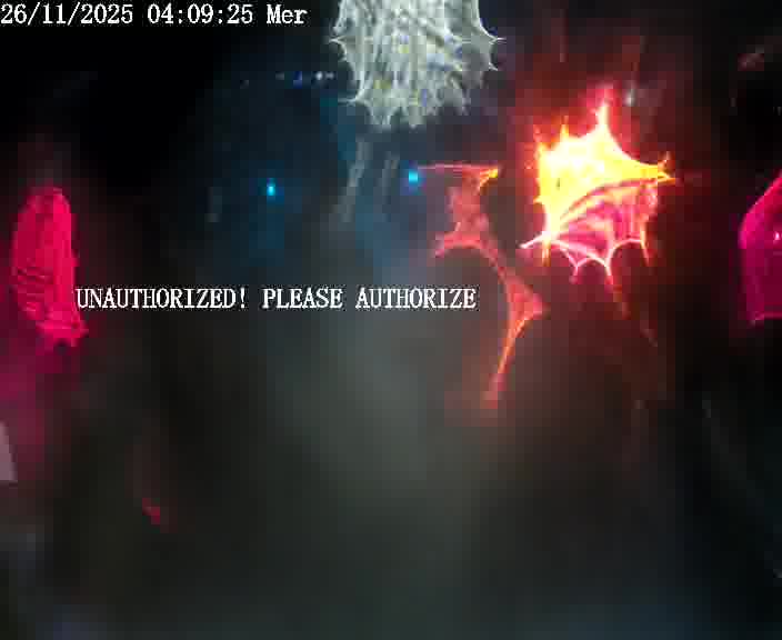 Webcam installée le long de D1 (France) à Ennery, pointée vers Metz, utile pour suivre précisément les conditions de trafic.