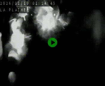 Caméra routière France - N109, Juvignac - La plaine, en direction de Clermont l'Hérault, à la sortie de Montpellier