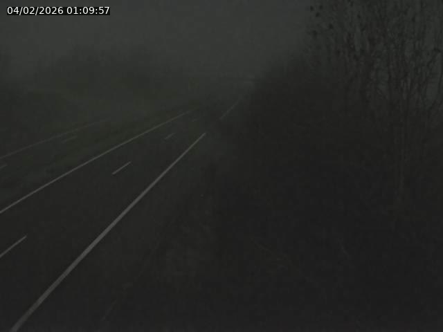 Caméra autoroute France - A31, Kanfen direction Luxembourg