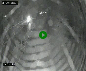 Vue en direct de l'autoroute A10 grâce à un drône situé au-dessus du péage de Virsac