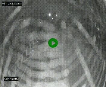 Vue en direct de l'autoroute A10 grâce à un drône situé au-dessus du péage de Virsac