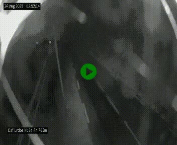 Webcam dans les Pyrénées Atlantique au niveau du col d'Urdos et du fort du Pourtalet sur la N134, en direction du Col et du tunnel du Somport, à 765 mètres d'altitude