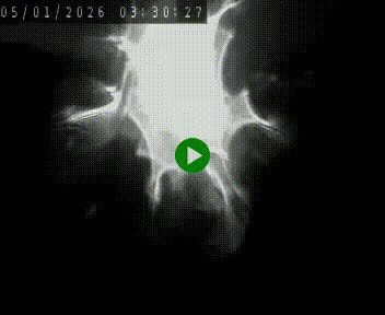 Caméra autoroute A75 à hauteur de Le Crest, en direction de Montpellier