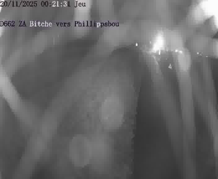 Caméra de trafic sur D662 (France) à Bitche, orientée vers Phillippsbourg, permettant d’évaluer fluidité, incidents et densité automobile.