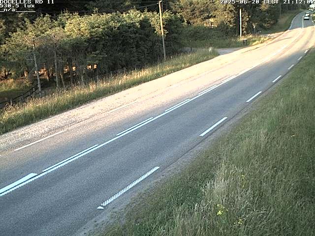 Webcam à 424 mètres d'altitude dans la Tranchée de Docelles dans les Vosges, à proximité d'Epinal sur la route de Gerardmer (D11)