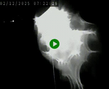 Caméra autoroute A75 à hauteur de Le Crest, en direction de Montpellier