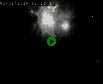 Caméra autoroute A75 à hauteur de Le Crest, en direction de Montpellier