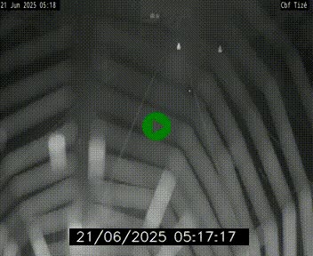 Webcam sur le périphérique de Rennes (N136) à hauteur de Tizé, à l'est de la ville