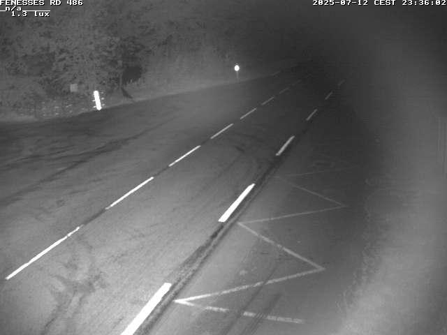 Webcam en haut du col des Fenesses, aussi appelé col du Ménil sur la D486 à 593 mètres d'altitude dans les Vosges